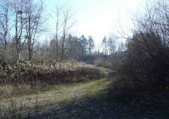 Zemljišče, zazidljivo