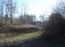 Zemljišče, zazidljivo